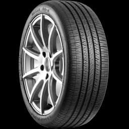 Goodyear Eagle RS-A 20" angled tire