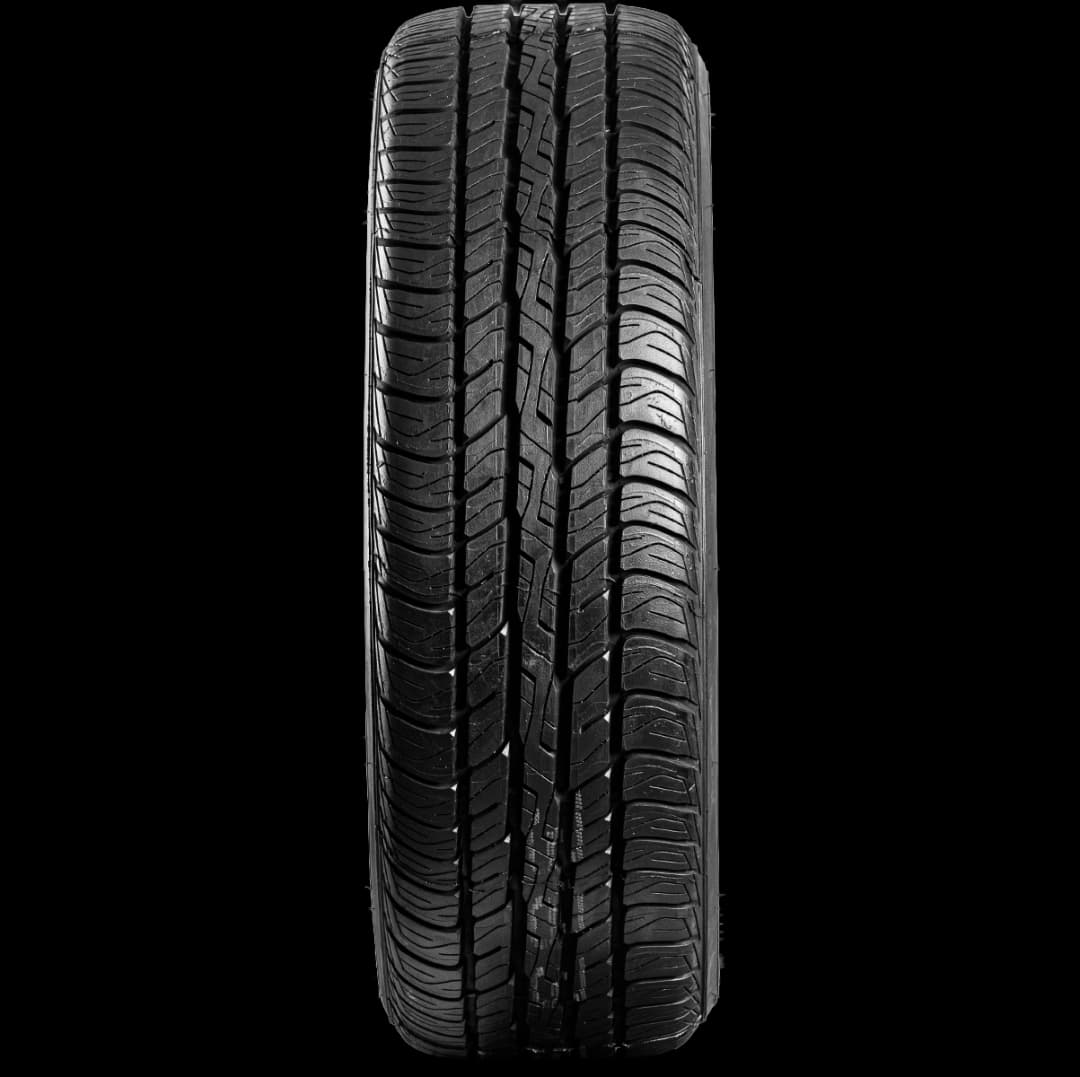 Dunlop Signature II 17" front tire