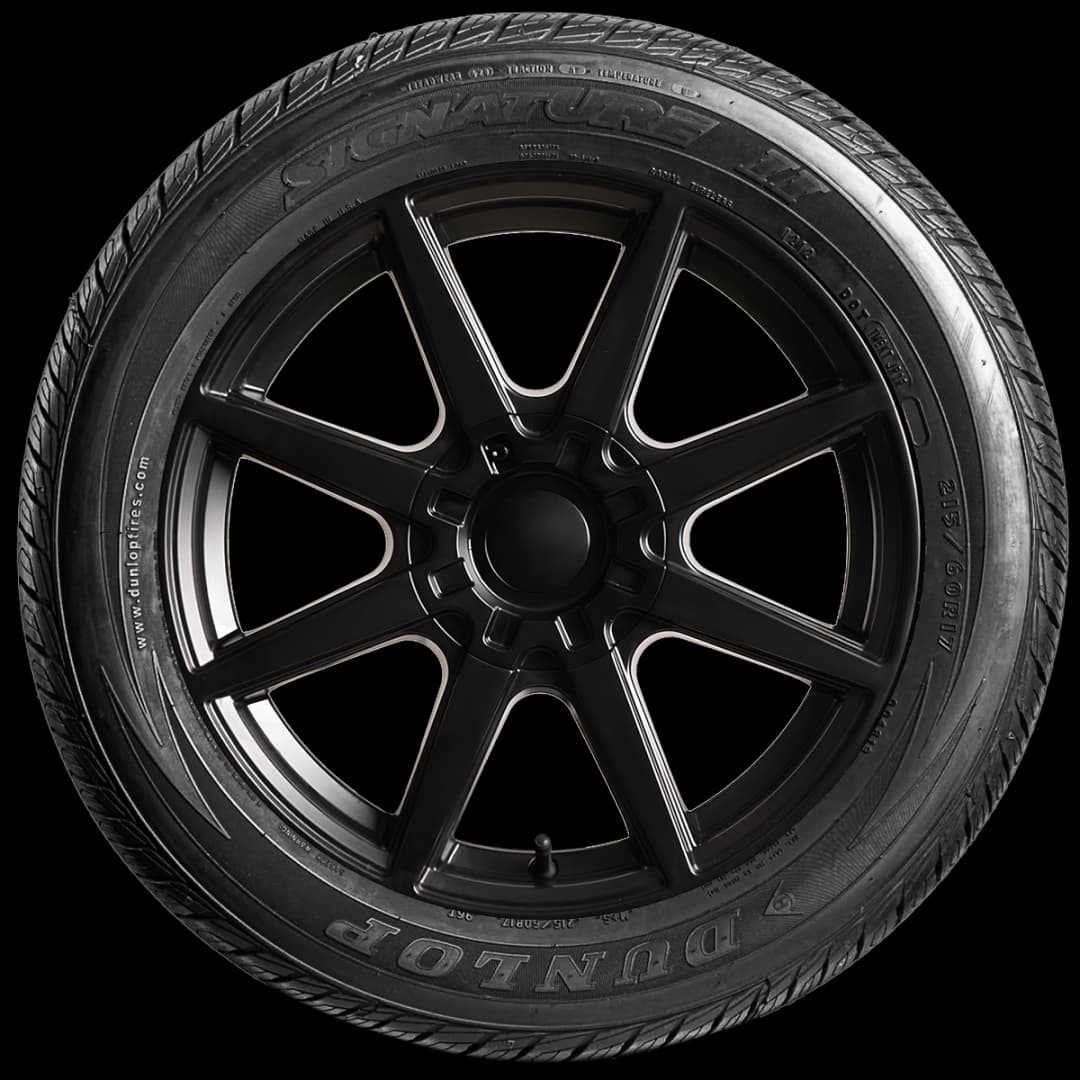 Dunlop Signature II 17" side tire