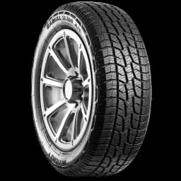 Westlake SL369 20" angled tire