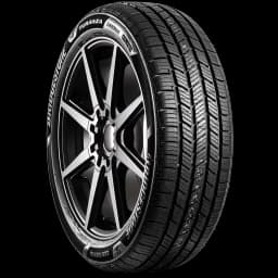 Bridgestone Turanza Everdrive 20" angled tire