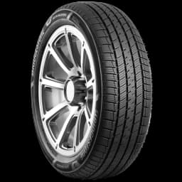 Bridgestone Ultraweather 20" angled tire