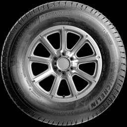 Michelin Defender LTX M/S 17" side tire