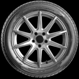 Nitto Motivo 365 17" side tire