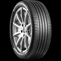 Goodyear Eagle Touring 20" angled tire