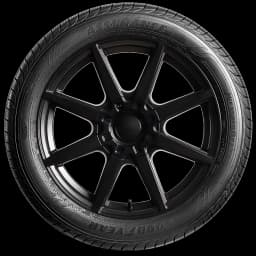 Goodyear Assurance WeatherReady 20" side tire