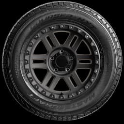 Mastercraft Courser HXT 17" side tire