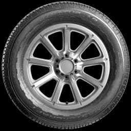 Mastercraft Stratus AP 20" side tire