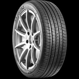 Michelin Pilot Sport A/S 4 20" angled tire