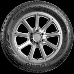 Mavis Mountaineer APT 20" side tire