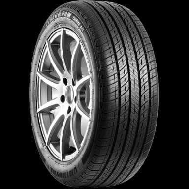 Uniroyal Tiger Paw Touring AS DT tire
