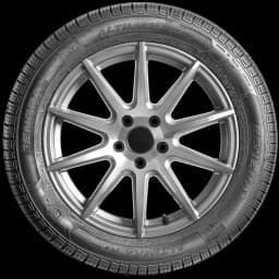 General Altimax RT45 17" side tire