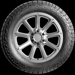 Falken Wildpeak A/T4W 20" side tire